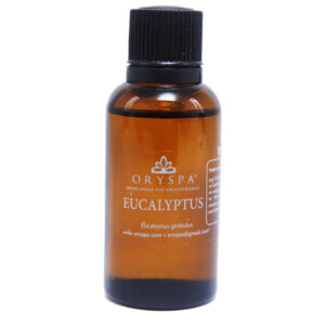 Essential Oil Eucalyptus